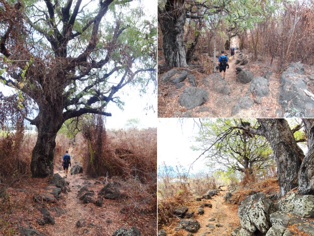 Le désert à deux pas de la ville