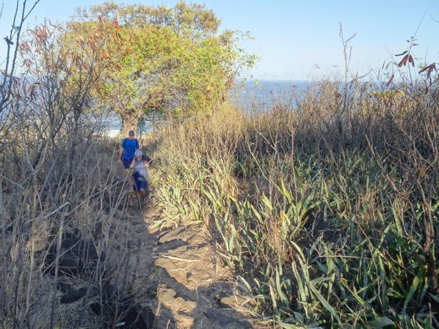 Le sentier traverse une zone désolée couverte de langues de belles-mères et d'épineux