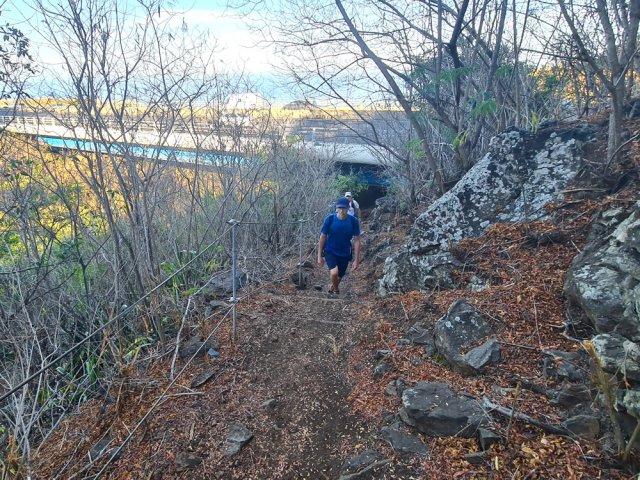 Le sentier se poursuit après la RN1 en direction du Chemin Diale