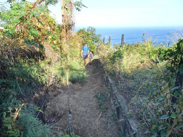 Un raccourci entre deux virages du Chemin Diale