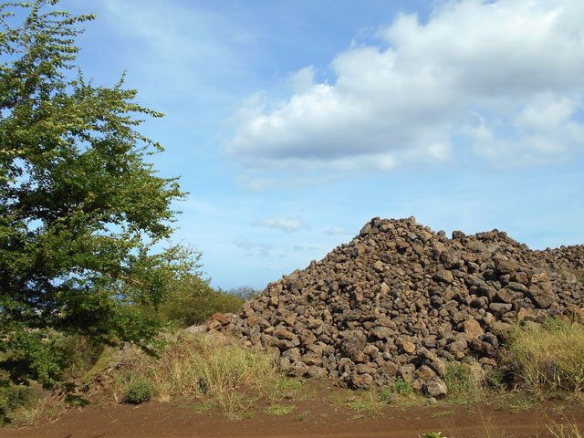 Les pierres sont extraites, cassées, empilées avant d’être transportées vers la Possession