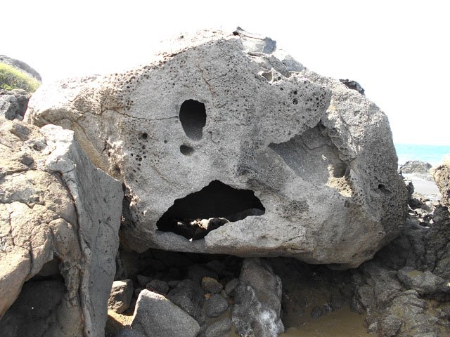 Flâner à la recherche de ces merveilles de la nature, creuses et hautes de plusieurs mètres