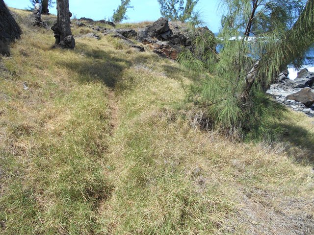 Exemple de portion de sentier de pêcheur entre route et galets