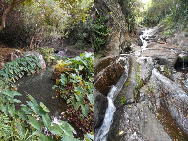 Autre superbe endroit par le deuxième petit sentier de la Ravine du Ruisseau