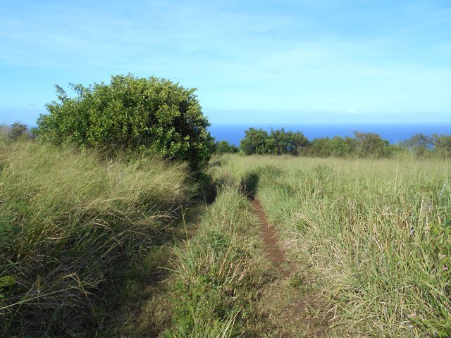Une partie de la piste avant le Chemin Pierre de Guigné, tantôt terreuse, tantôt herbeuse