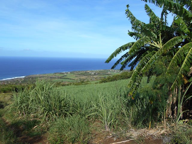 D’autres panoramas durant la descente dans les cannes