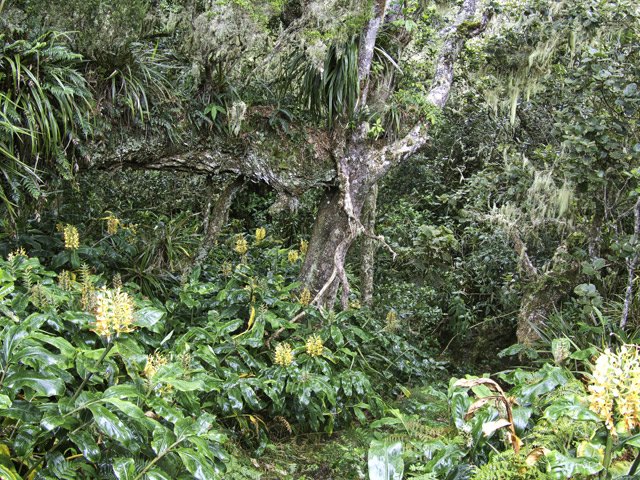 Forte descente dans un magnifique endroit sauvage