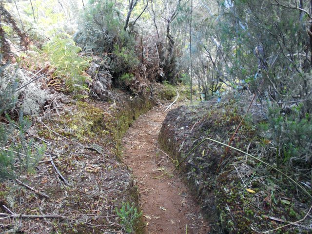 Le sentier est parfois creusé par les multiples passages