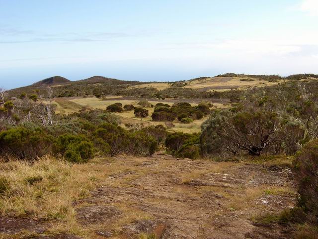 La Plaine des Chicots de la Roche Ecrite vers le gîte