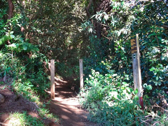 Le départ du sentier vers la Roche Ecrite