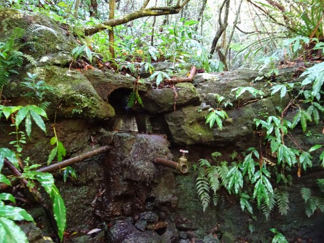 Même l'eau des rus insignifiants est récupérée