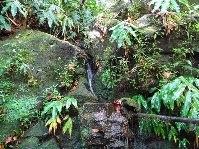 Un autre petit captage le long du sentier