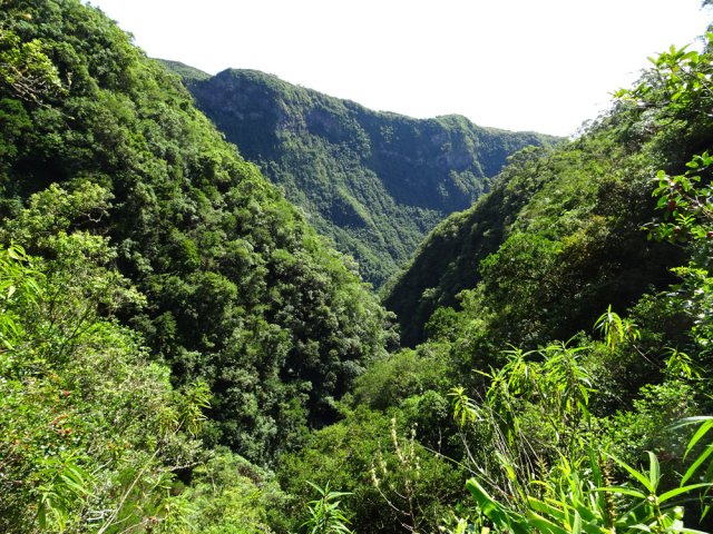 Les magnifiques vallées de la Ravine Blanche et de la Ravine des Patates à Durand