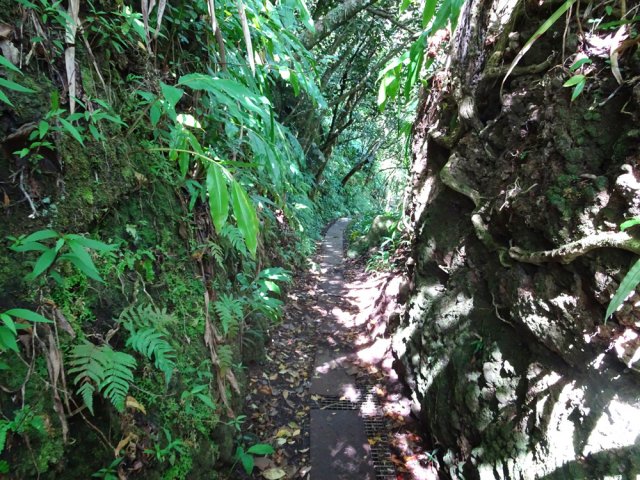 Le canal est recouvert d'une grille sur laquelle on peut marcher sans danger