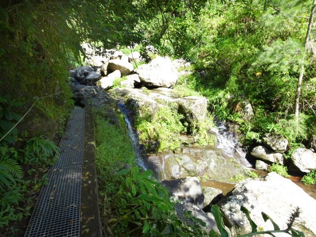 On arrive au dernier captage, à la Ravine Blanche