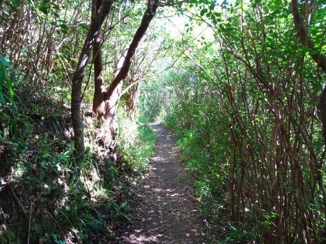 La jonction est une véritable balade à l'ombre