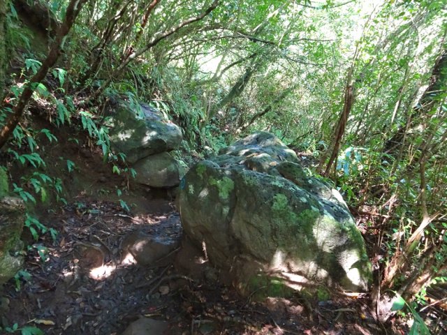 Quelques roches sur le sentier ne gênent pas la progression