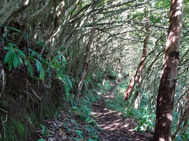 Le sentier est large et facile à emprunter
