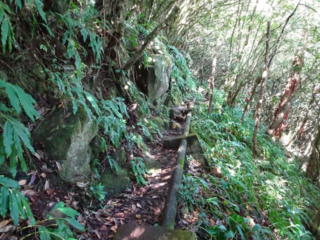 La canalisation en fonte fait son apparition