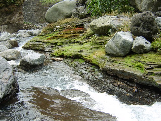 En amont, belles portions de rivière aux berges glissantes