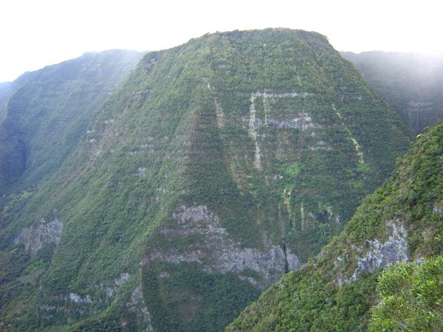 Le dernier rempart du Coteau de Cendres