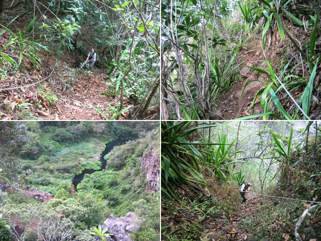 Grimpée très sportive pour ceux qui choisiront cette voie