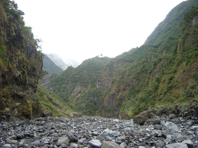 L'Îlet Commandeur au centre de l'image reconnaissable à son eucalyptus