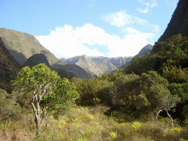 Vue panoramique depuis le petit plateau sur la droite avant la vallée