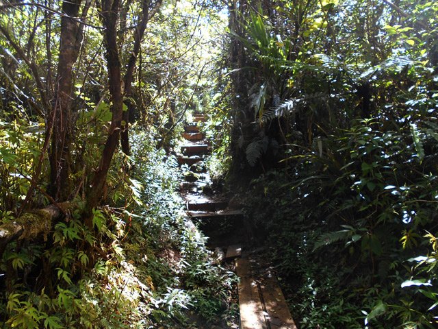 Les parties glissantes sont recouvertes de planches