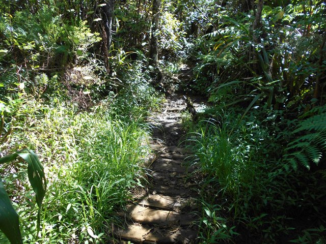 Une portion plus boueuse que les autres