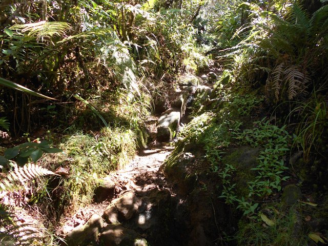 Courte montée sur des cailloux moussus