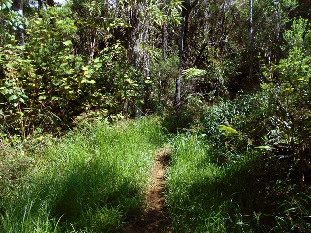 En fin de montée, on traverse une zone herbeuse