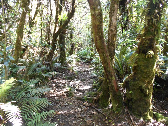 Début de la descente vers le point de départ