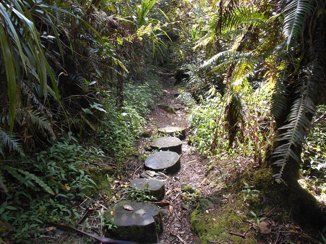 Des pas japonais en bois de tamarin