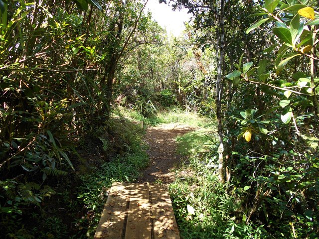 La petite passerelle avant le croisement pris à l'aller