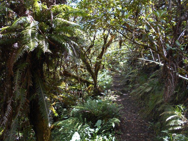 Sentier très fréquenté donc en bon état