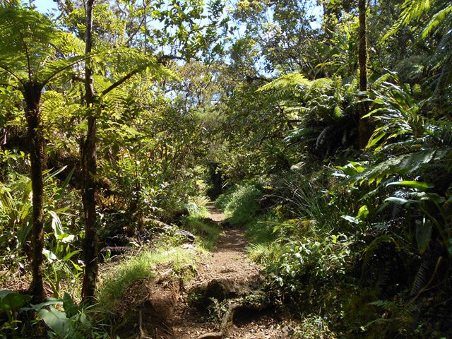 La montées est faible dans les bois de couleurs jusqu'au croisement