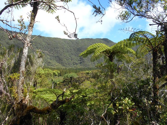 Une autre vue du Coteau Duvernay avant d'entreprendre la montée