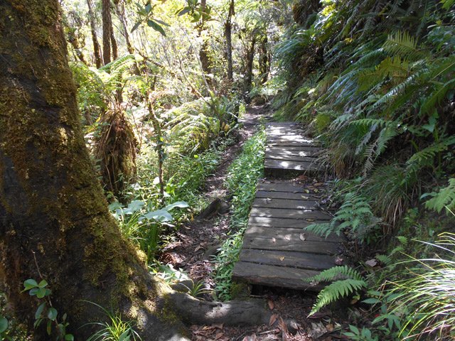 Les planches destinées à éviter la boue sont glissantes, donc évitées par les marcheurs