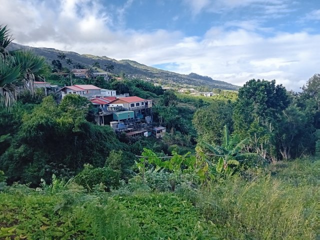 On domine la Ravine Pêche et Saint-Christophe les Bas