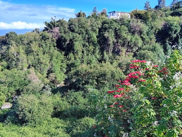La très profonde vallée de la Ravine de la Fontaine