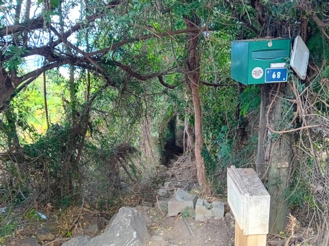 La véritable randonnée sur sentier débute à la boîte aux lettres du n° 68