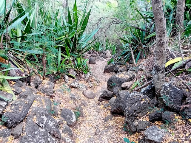 Beaucoup de grosses pierres de lave comme toujours à Saint-Leu