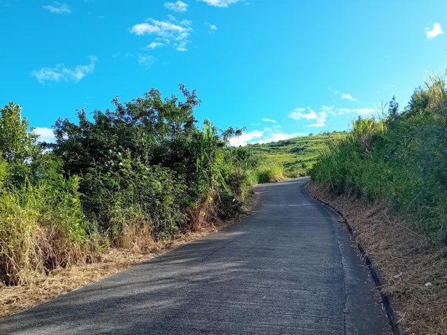 La petite route pentue est idéale pour un entraînement