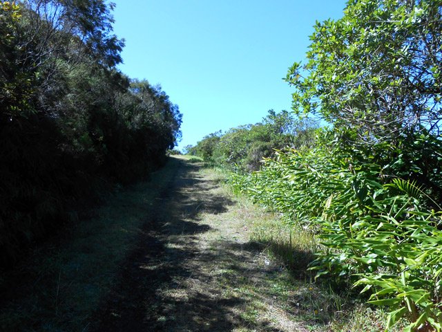 Début de la montée sur piste agréable et en faible pente