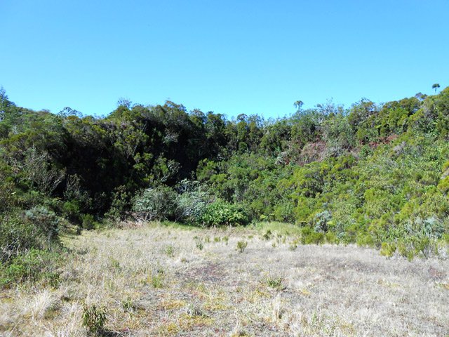 Le centre du cratère