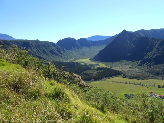 La forêt de cryptomerias de la Petite Plaine et le Col de Bébour