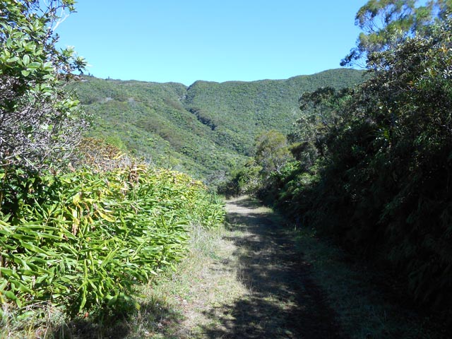 Longoses et bois de couleurs pour une vue vers le Col de Bellevue