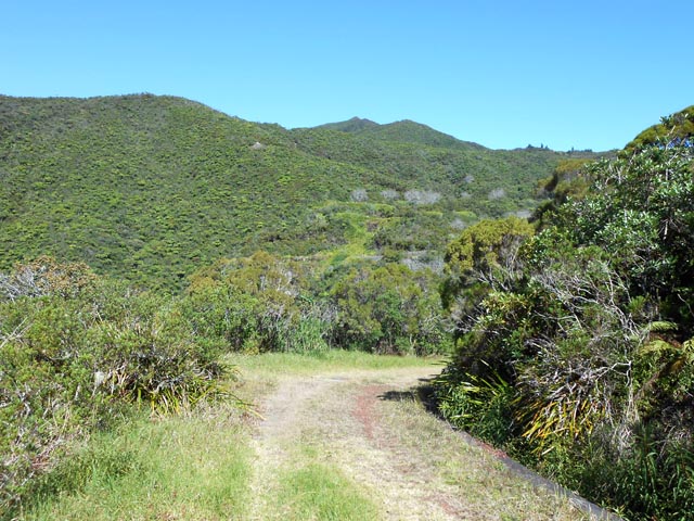 Une idée de l'excellente piste