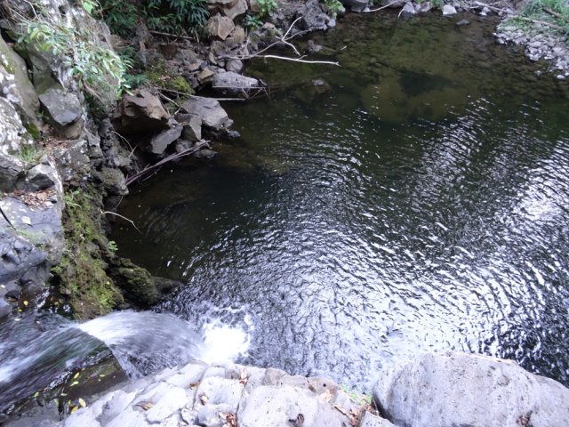 Le discret Bassin Sassa que l'on rejoint dès le départ